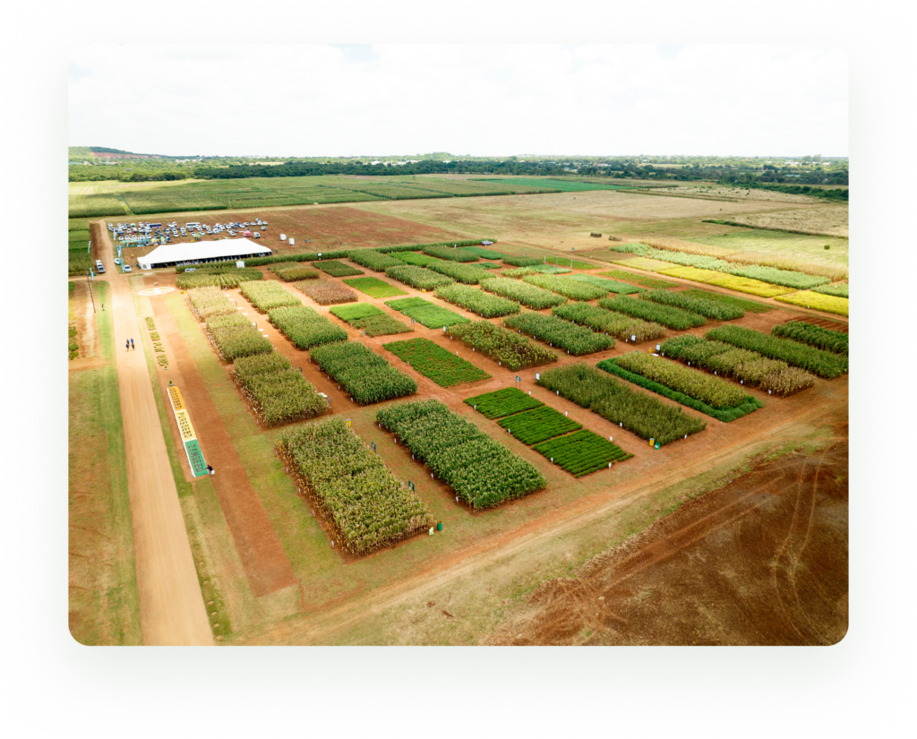 Chiawa – An important breeding field.