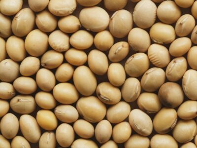 Soyabeans