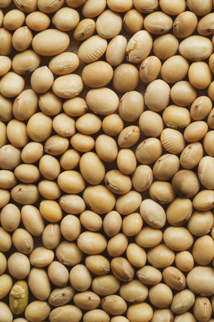 Harvested soyabean seed