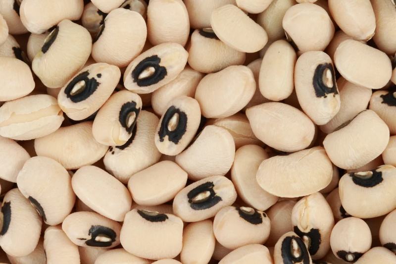 Black-eyed cowpea seed, Bubebe variety