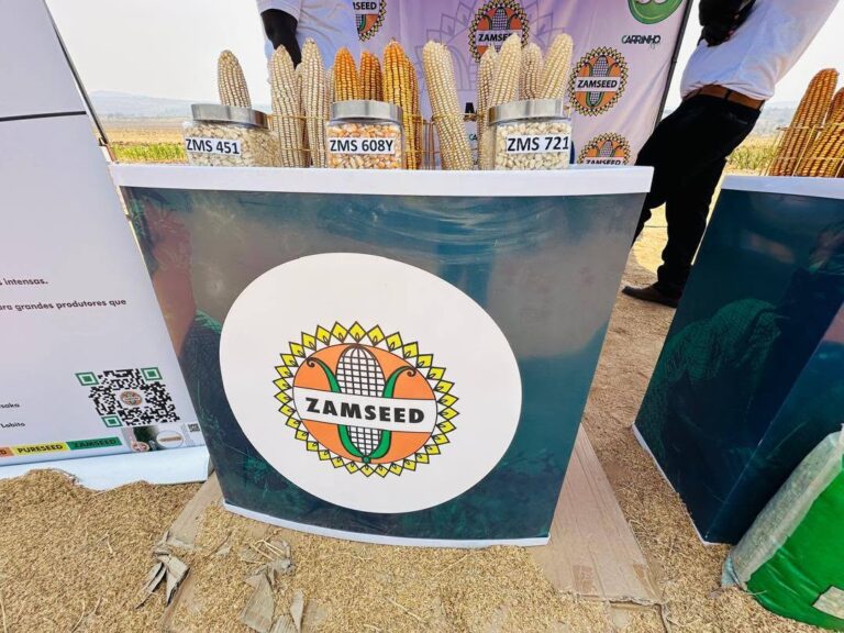Zamseed staff in the field with ZMS seed