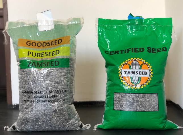 Zamseed sunflower seed packaging